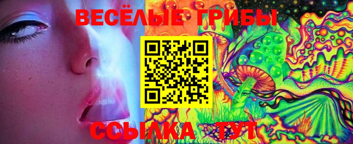 Галлюциногенные грибы Psilocybine cubensis Пугачёв